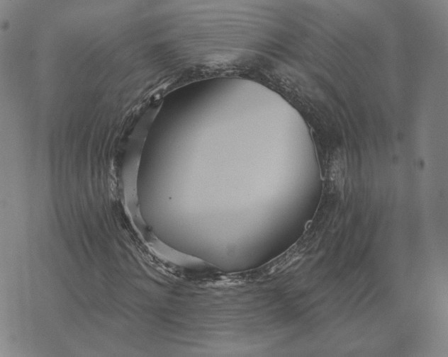 X0000070360868200606231620