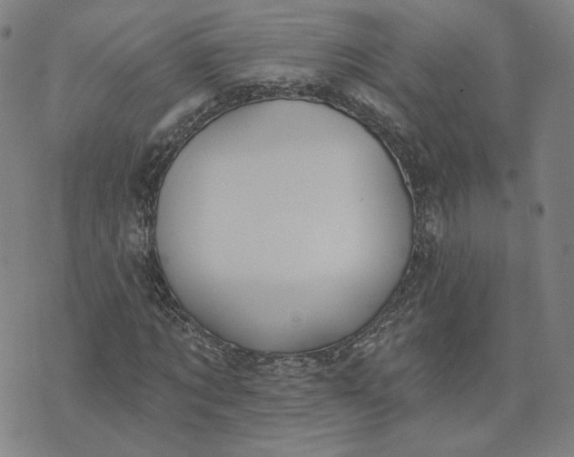 X0000070360869200606231620