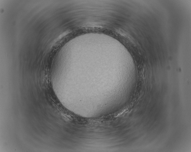 X0000070360870200606231620