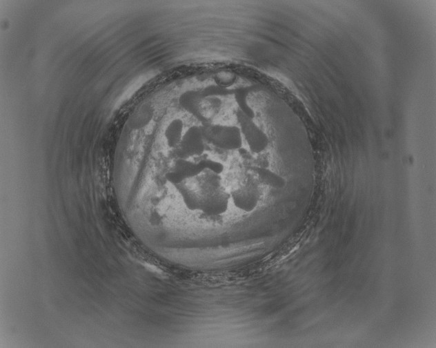 X0000070360871200606231620