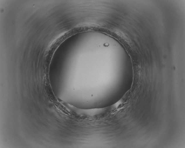 X0000070360872200606231620