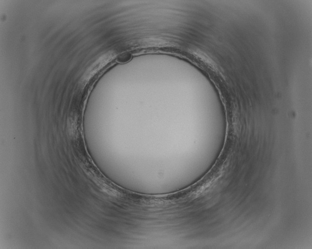 X0000070360873200606231620