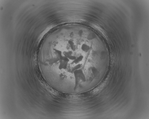 X0000070360875200606231620