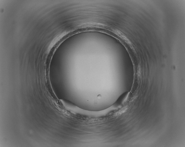 X0000070360877200606231620