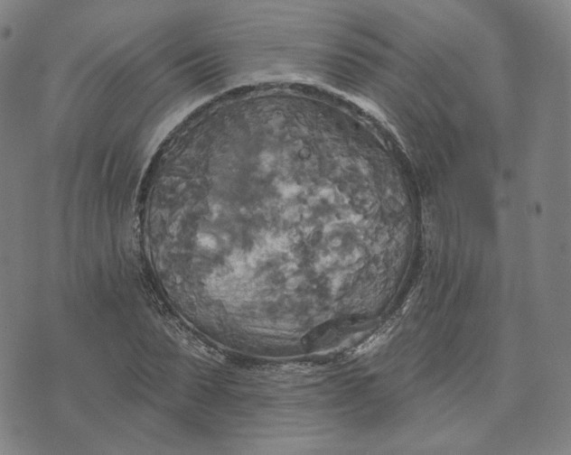 X0000070360879200606231620