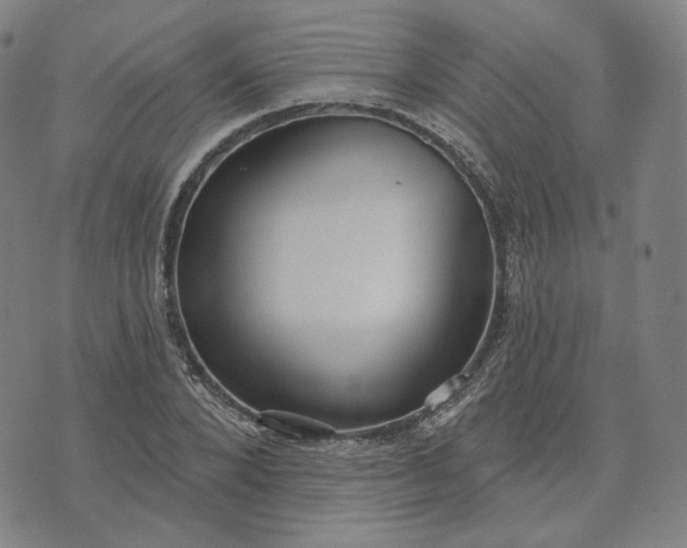 X0000070360880200606231620