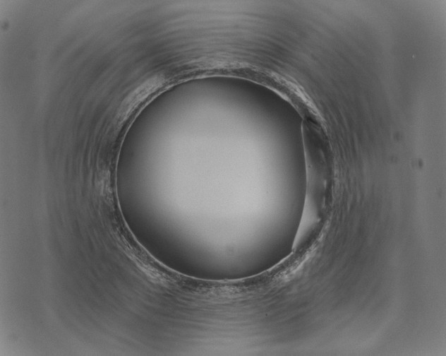 X0000070360881200606231620