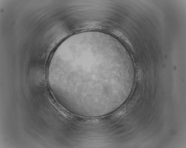 X0000070360882200606231619