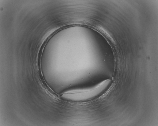 X0000070360884200606231619