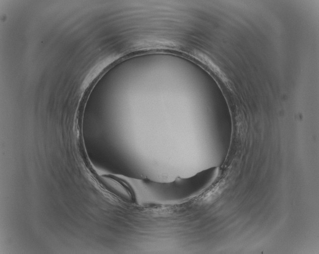 X0000070360885200606231619