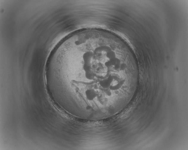 X0000070360887200606231619