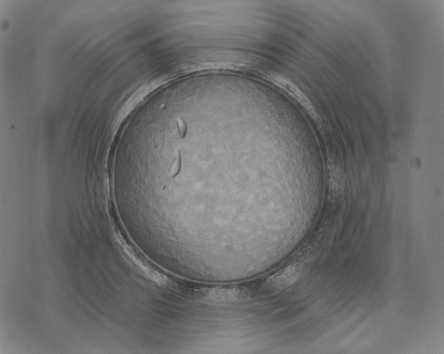 X0000070360890200606231619