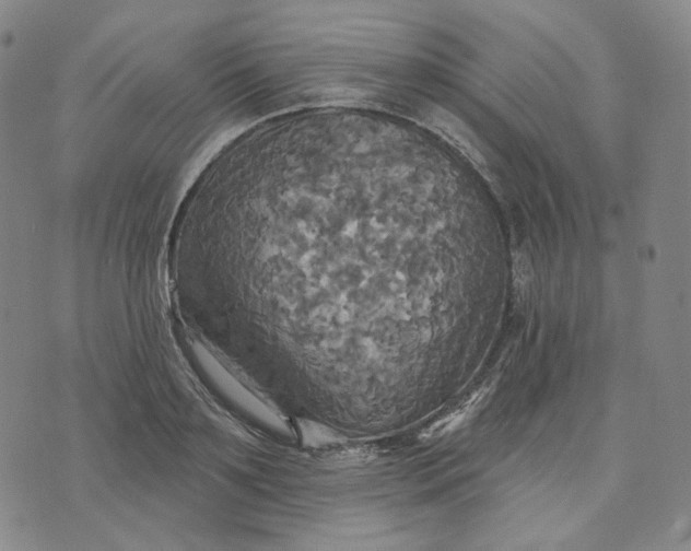 X0000070360891200606231619