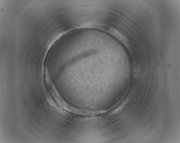 X0000070360892200606231619