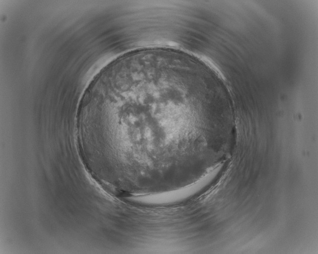 X0000070360895200606231619