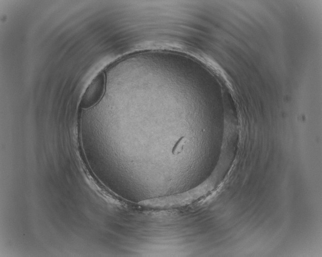 X0000070360896200606231619