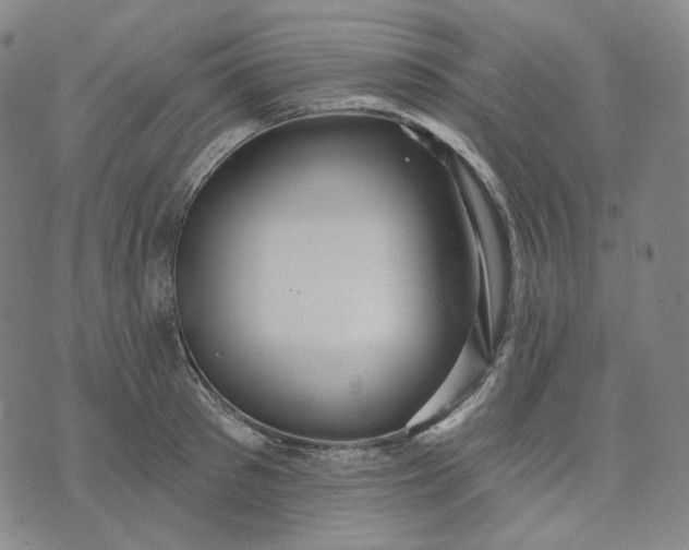 X0000070360897200606231619