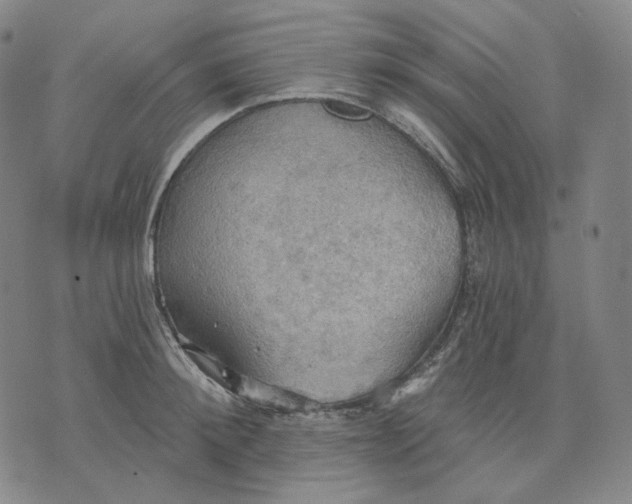 X0000070360900200606231619