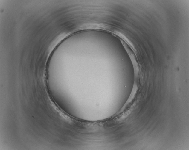 X0000070360901200606231619