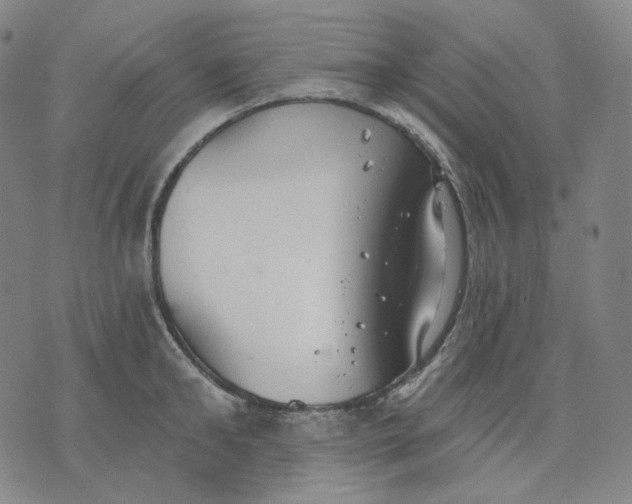 X0000070360902200606231619