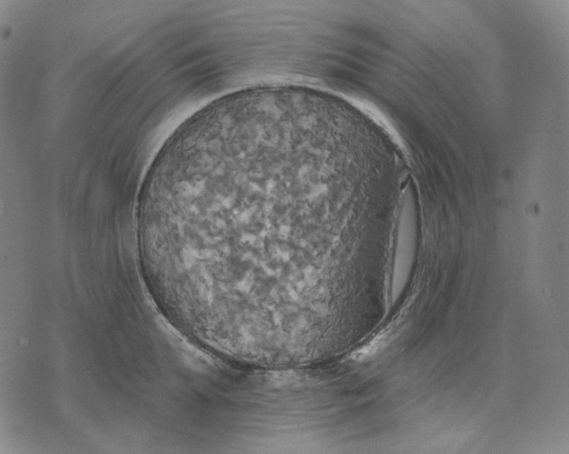 X0000070360903200606231619