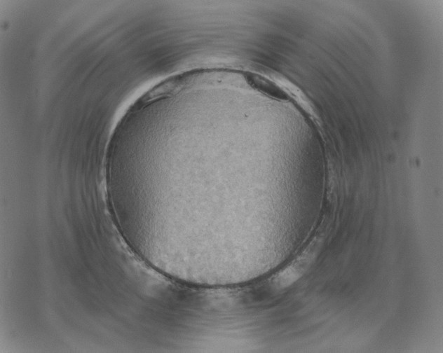 X0000070360904200606231619