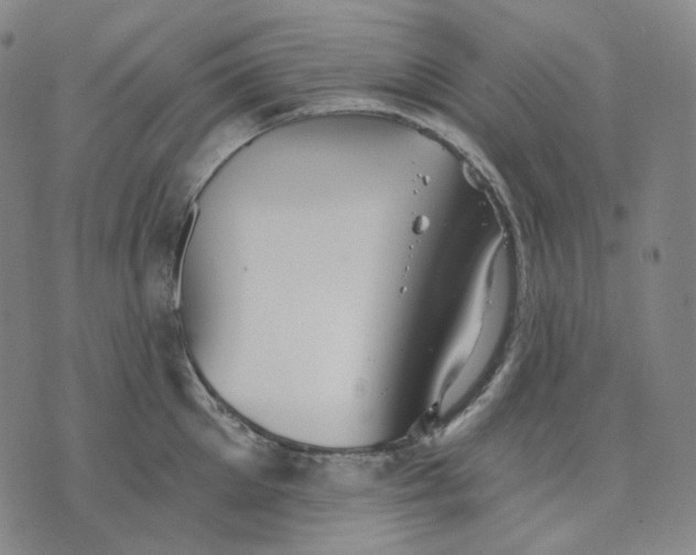 X0000070360905200606231619