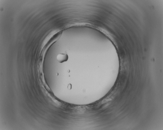 X0000070360906200606231619