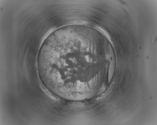 X0000070360907200606231619