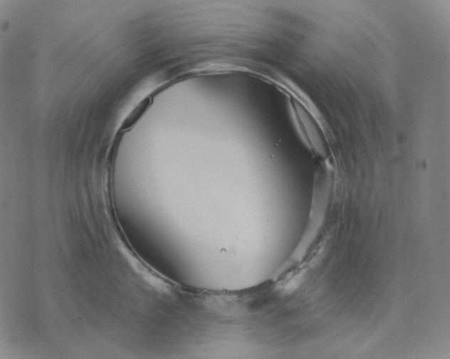 X0000070360909200606231619