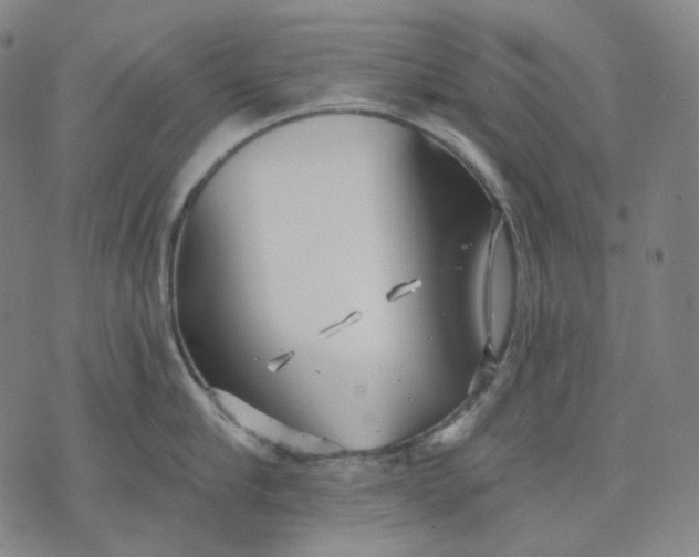 X0000070360910200606231619