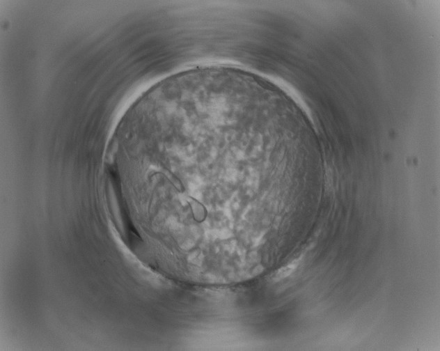 X0000070360911200606231619