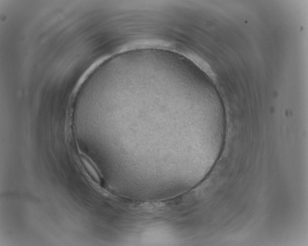 X0000070360912200606231619