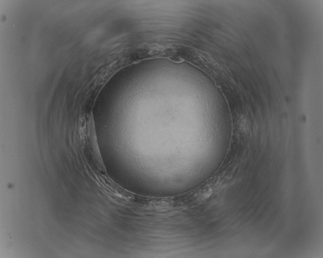 X0000070360914200606231618