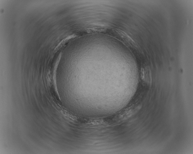 X0000070360915200606231618