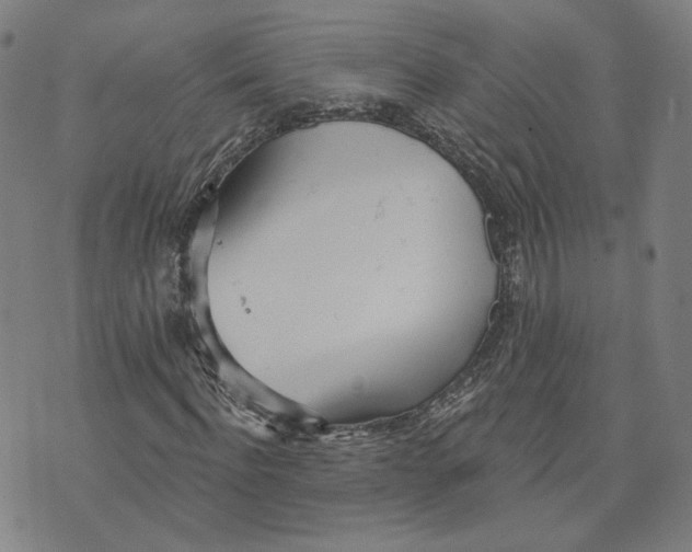 X0000070360916200606231618