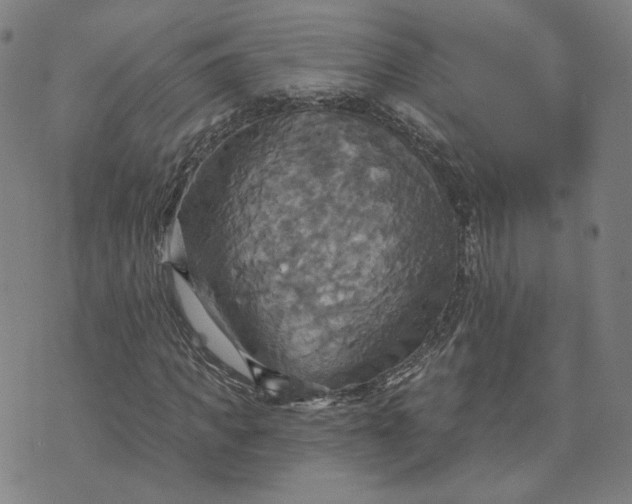 X0000070360917200606231618