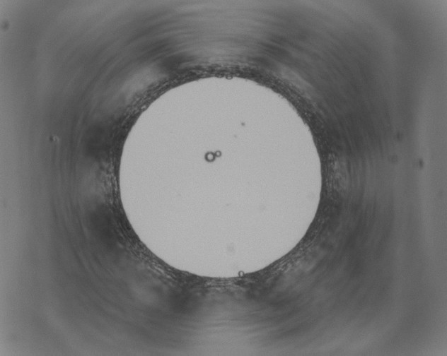 X0000070360918200606231618