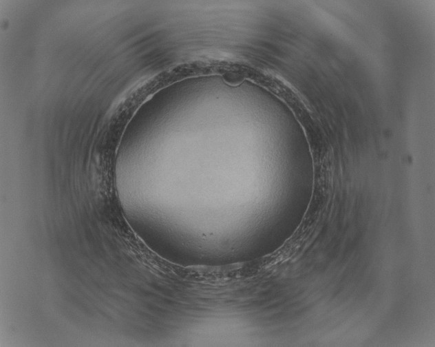 X0000070360919200606231618