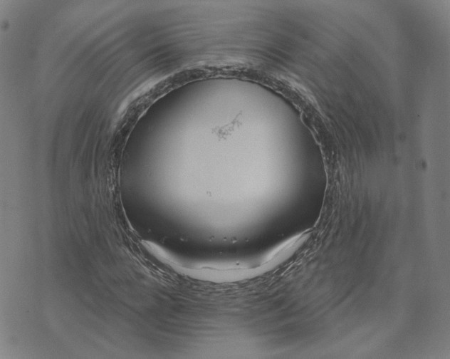 X0000070360920200606231618