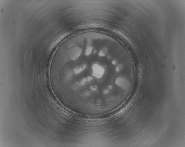 X0000070360921200606231618