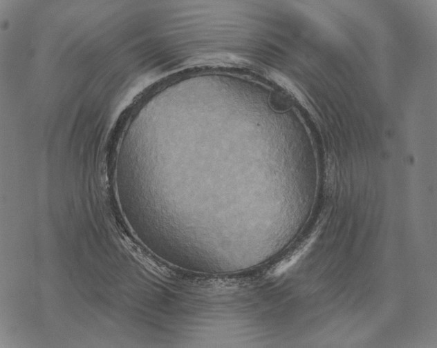 X0000070360923200606231618