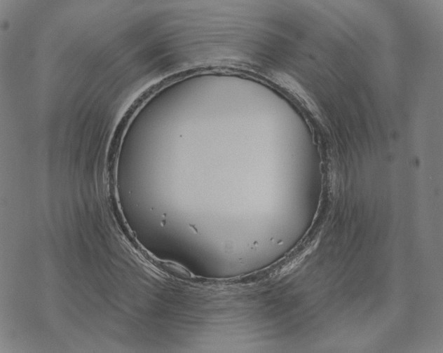 X0000070360924200606231618