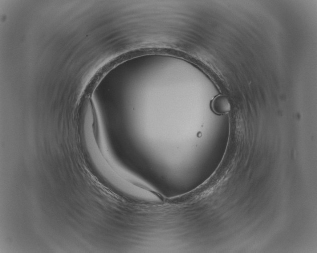 X0000070360926200606231618