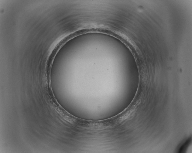 X0000070360927200606231618