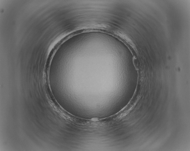 X0000070360928200606231618