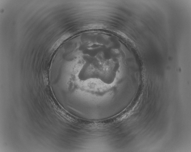 X0000070360929200606231618