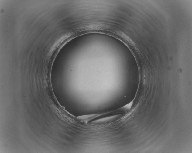 X0000070360930200606231619