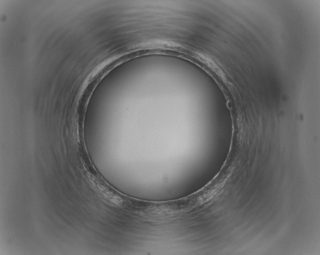 X0000070360931200606231619