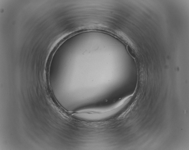 X0000070360932200606231619